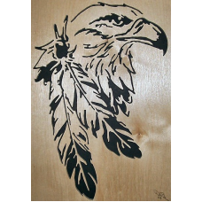 Eagle with feathers