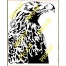 Golden Eagle (2)