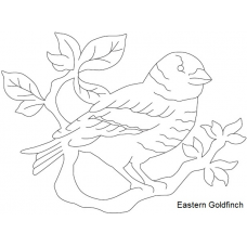 Eastern Goldfinch