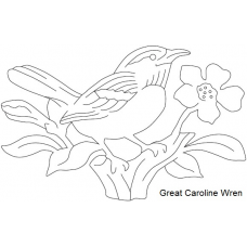 Great Caroline Wren