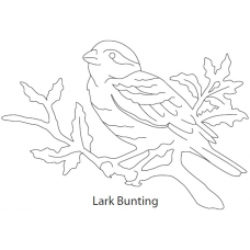 Lark Bunting