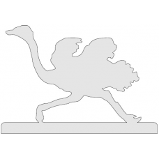 Struisvogel 1