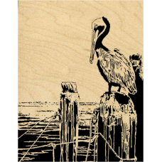 Endangered Brown Pelican