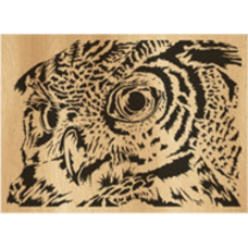 Owl (1)