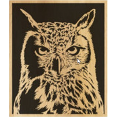 Owl (7)