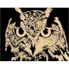 Owl (8)