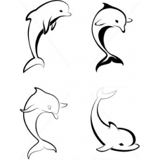 Vier Dolfijnen