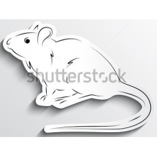 Chinese Zodiac - Rat