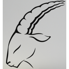 Horoscoop - Steenbok