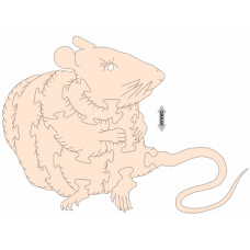 Zodiac puzzel - Rat