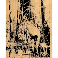 Swamp Buck