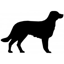 Hond 2