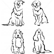 Vier honden