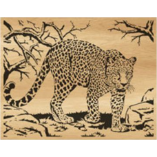 Leopard (4)