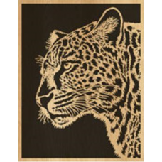 Leopard (5)