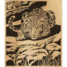 Leopard (6)