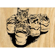 Kitty Shoes